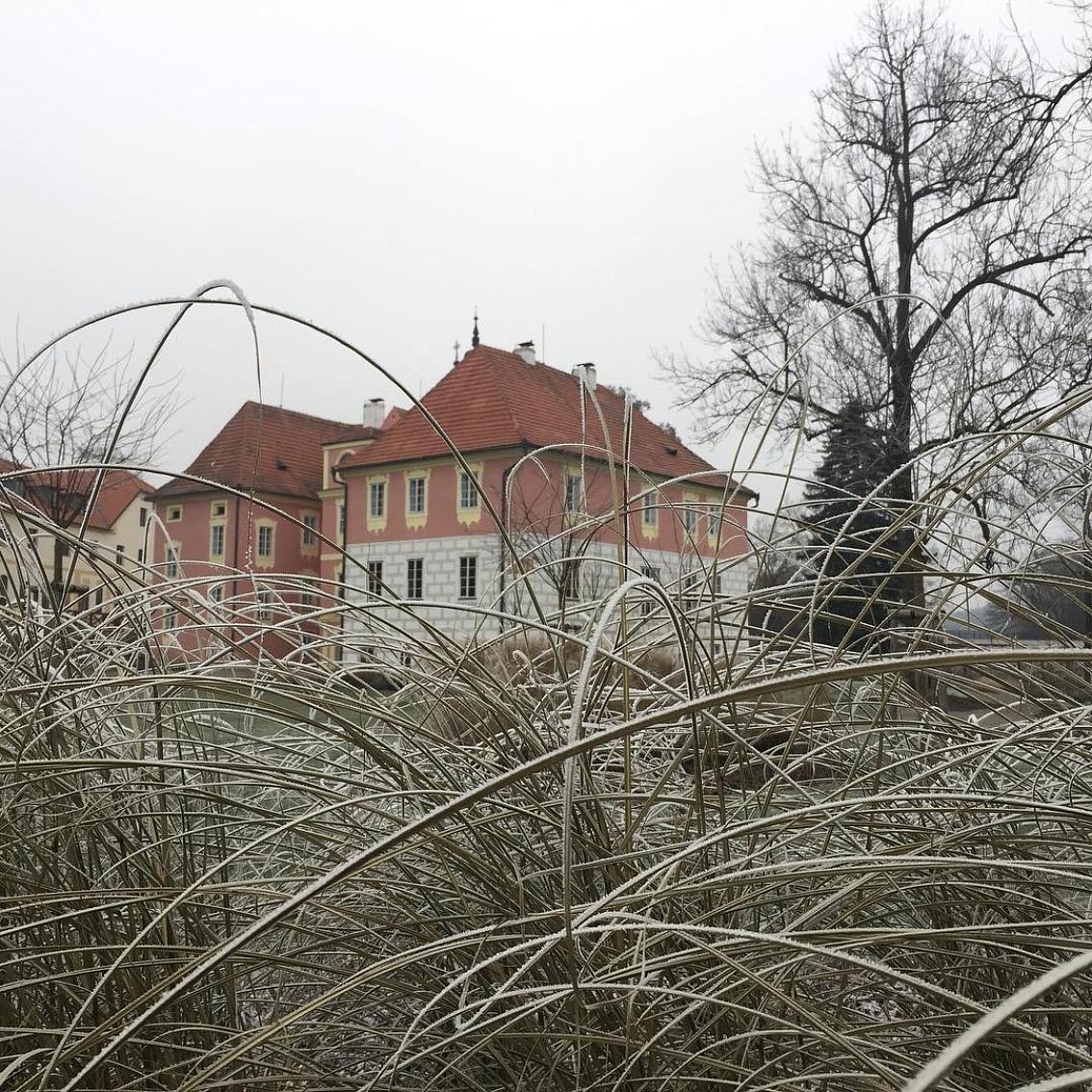 Stezka Vltavy on Instagram: “Za lehce promrzlou flórou stojí těžce odvedená práce. Srdíčko za odvedenou záchranu a rekonstrukci. Podtrhnuté získaným oceněním Fénix za…”