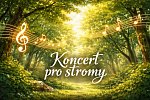 Koncert pro stromy