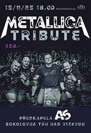 METALLICA TRIBUTE