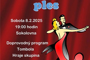 19. SPOLKOVÝ PLES