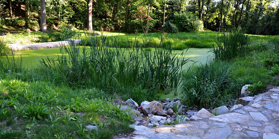 Vodní park Hlinky