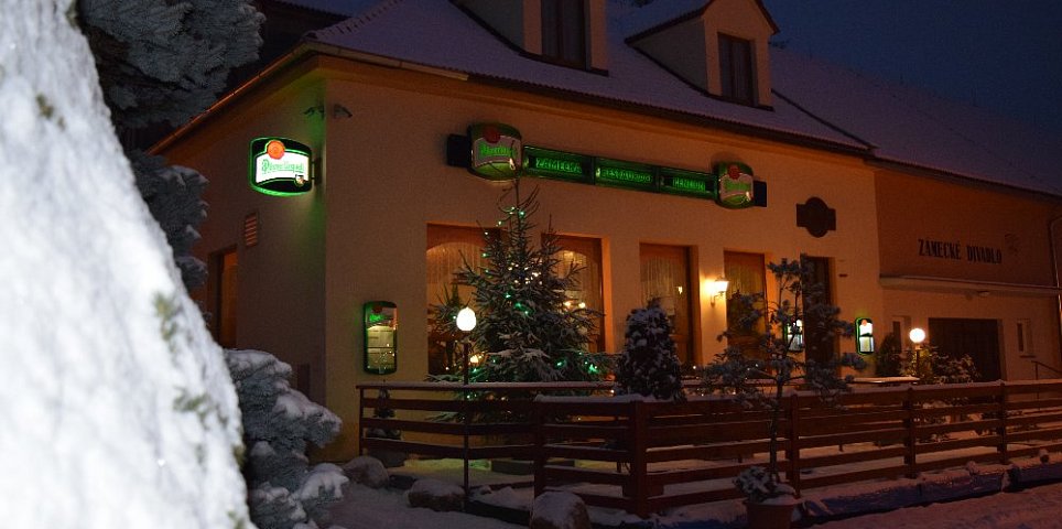 Schlossrestaurant und Pension Týn nad Vltavou
