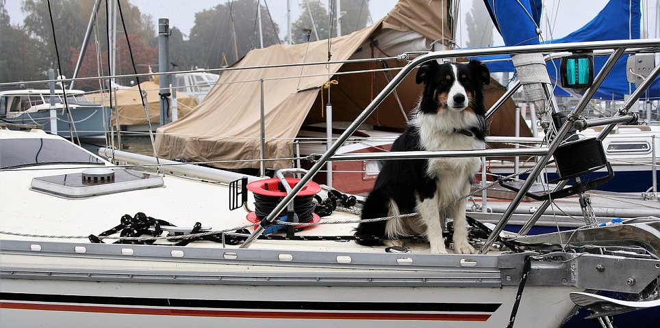 YACHT CLUB OTO CIRNFUS